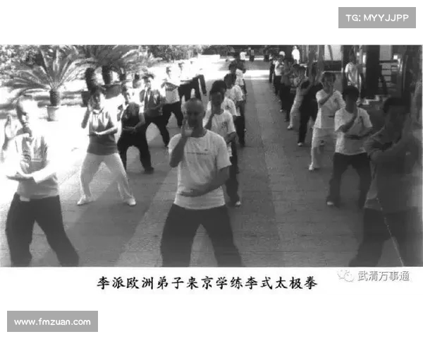 探寻中国传统武术的精髓与文化传承:从拳法招式到精神内涵的深度解读 探寻中国传统武术的精髓与文化传承:从拳法招式到精神内涵的深度解读